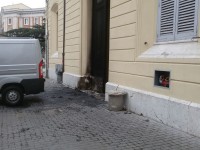 Il ricordo della Flc Cgil: “De Maria, un lavoratore scrupoloso”