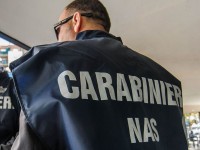 WCENTER 0WNJBDRJAK - 09131738 FOTO WEBSERVER - imggiugliarelli130913173728 - CARABINIERI NAS PERUGIA - - Marco Giugliarelli