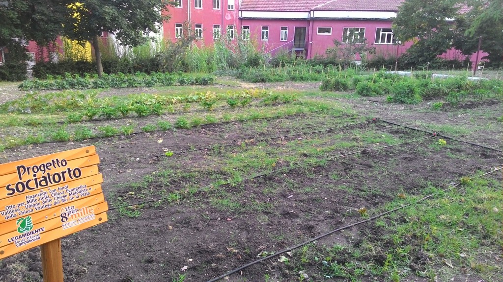 Orti sociali, domani la presentazione della mostra