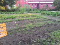 Orti sociali, domani la presentazione della mostra