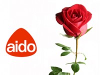 Giornata della rosa, l’Aido torna in piazza