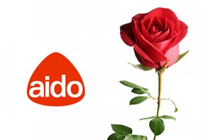 Giornata della rosa, l’Aido torna in piazza