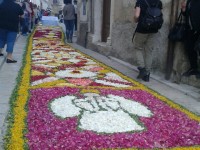 Campobasso, tripudio di colori e profumi per l’Infiorata