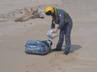 Campomarino, maxi sequestro di droga