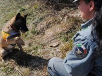 Frosolone, mercoledì inaugurazione del nucleo cinofilo della Forestale