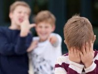 La prevenzione del bullismo nella scuola primaria, Termoli in prima linea
