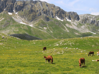 Disegno di legge piccoli comuni e montagna, il plauso dell’Anci Molise