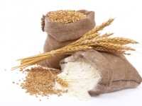 Sfarinati ed olio, incontro curato dal quartiere Campobasso Nord