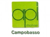 Api Molise, Antonio Patriciello nuovo presidente