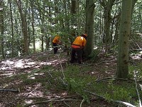 Operai forestali, l’Arsarp scorrerà la graduatoria