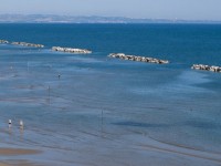 Balneabilità della costa, Confcommercio invoca moderazione