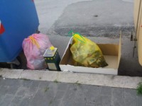 Degrado tra via Fede e via Grandi, la denuncia di Pilone e Cancellario