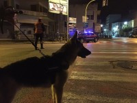 Venafro, ancora un sabato sera di controlli per i Carabinieri