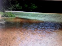 Inquinamento Volturno, spunta la foto della ‘marea marrone’