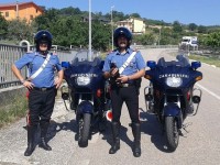 I Carabinieri salvano un gattino sull’Isernia-Pesche