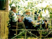 Frosolone, un concorso fotografico per la sfilata dei carri