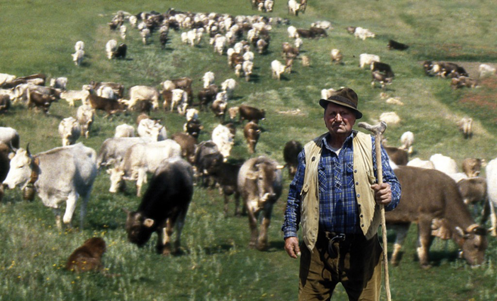 Alla famiglia Colantuono il premio internazionale ‘La Traglia’