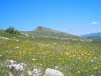 Capracotta, il 4 settembre concerto ad alta quota