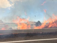 Termoli, incendio di sterpaglie lungo la Statale 16