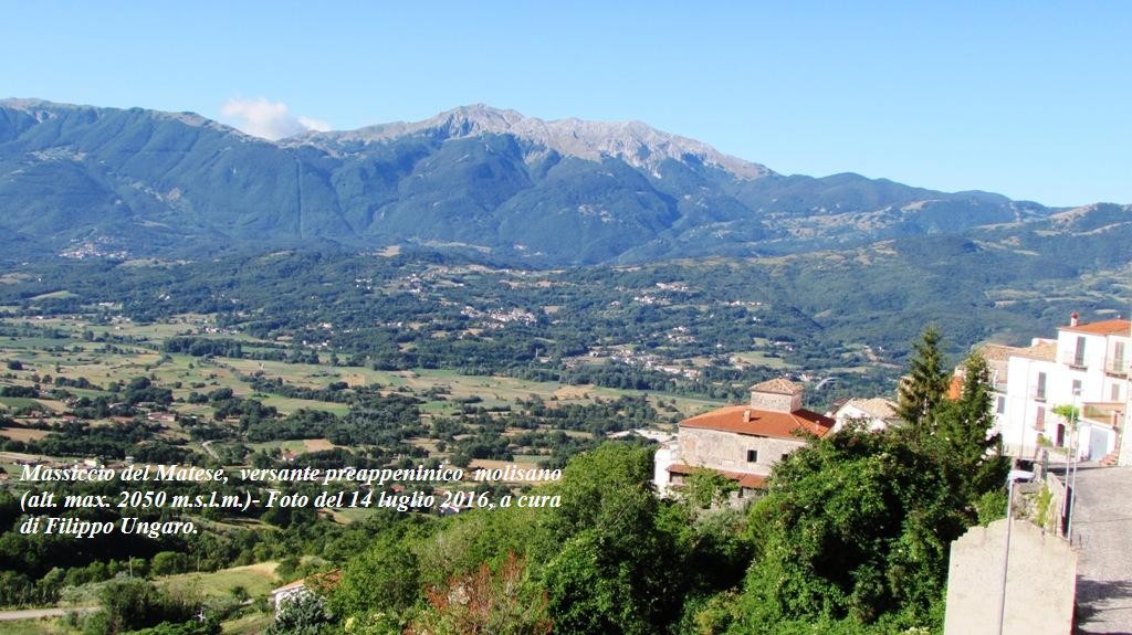 ESTATE MOLISANA…2016