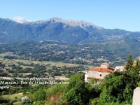 ESTATE MOLISANA…2016