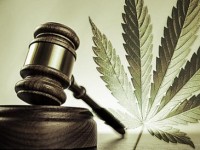 Legalizzazione della cannabis, il secco ‘no’ di padre Jacobucci