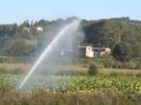 Consorzio di bonifica di Venafro, domani sit-in degli stagionali