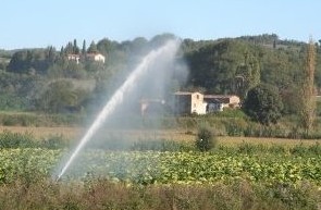 Consorzio di bonifica di Venafro, domani sit-in degli stagionali