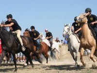 Ripalimosani si prepara per il palio delle Quercigliole