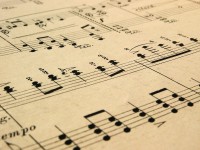 RipArte la musica, Ripalimosani al centro del pentagramma