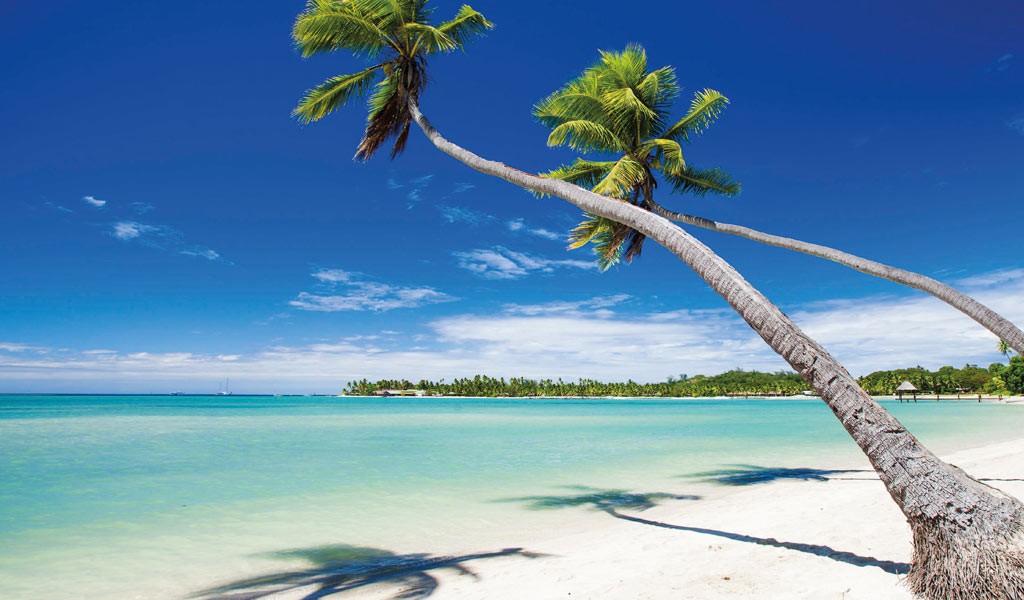 Vacanze e concerti fantasma, la Polizia pone i sigilli ad un’agenzia di viaggi a Campobasso