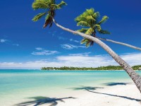 Vacanze e concerti fantasma, la Polizia pone i sigilli ad un’agenzia di viaggi a Campobasso