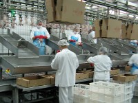 Gam, la Uil: «Occorre avere nervi saldi»