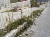 Buche, sassi e cespugli: marciapiedi ‘sgarrupati’ in via Sant’Antonio dei Lazzari