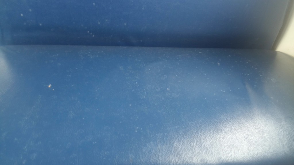 Termoli-Foggia, i pendolari pongono l’accento sulla pulizia delle carrozze