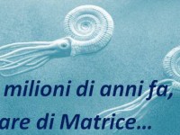 Il mare… di Matrice, domani l’incontro pubblico