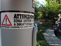 Da lunedì al via la derattizzazione a Campobasso