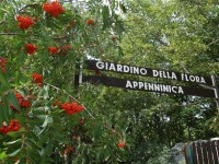 Siti accessibili, inaugurato il giardino di Capracotta