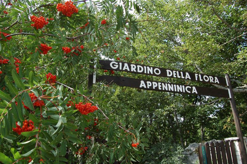 Siti accessibili, inaugurato il giardino di Capracotta