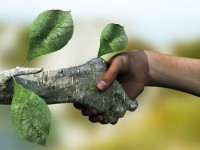 Ecosostenibilità ed innovazione, tre giorni di convegni tra Campobasso, Campochiaro e Termoli