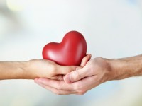 Heart in hands on light background