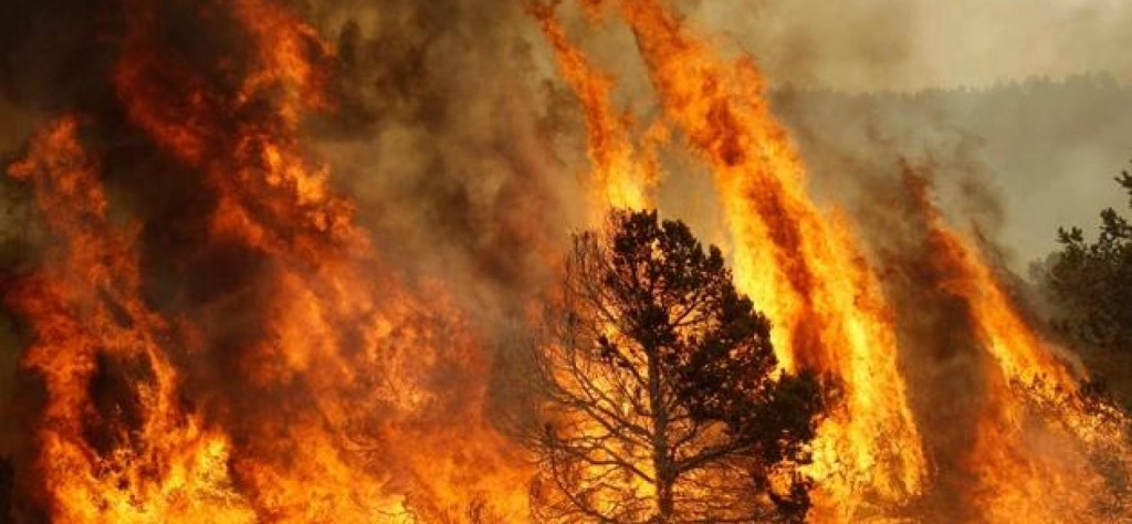 Causa un incendio nel bosco, denunciato 50enne