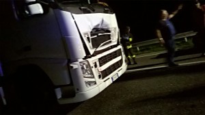 incidente mucche bivio san massimo (2)