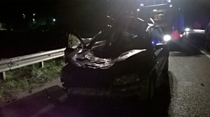 incidente mucche bivio san massimo (3)