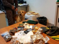Droga e merce contraffatta, sequestri record della Finanza di Campobasso