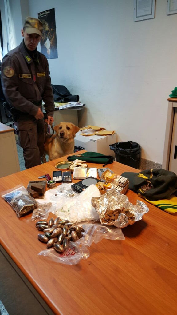 Droga e merce contraffatta, sequestri record della Finanza di Campobasso