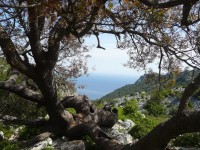 Usi civici, il convegno per parlare dei beni di tutti