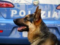 Isernia, blitz antidroga nelle scuole della città