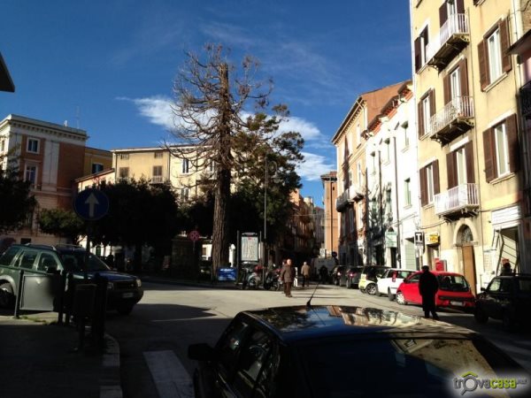 Domenica il taglio della sequoia in piazza Cesare Battisti