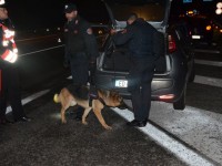 Armi e droga in auto, denunciati due 25enni di Isernia